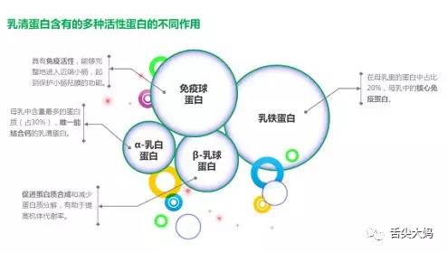 营养补充健身重要性是什么_健身补充营养很重要_健身营养补给