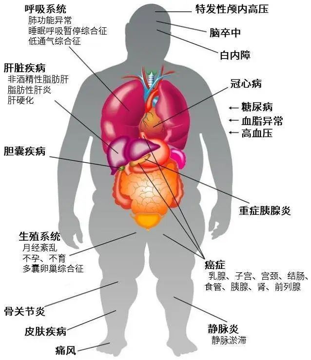 生活中饮食常识_常识饮食生活中的问题_常识饮食生活中的重要性