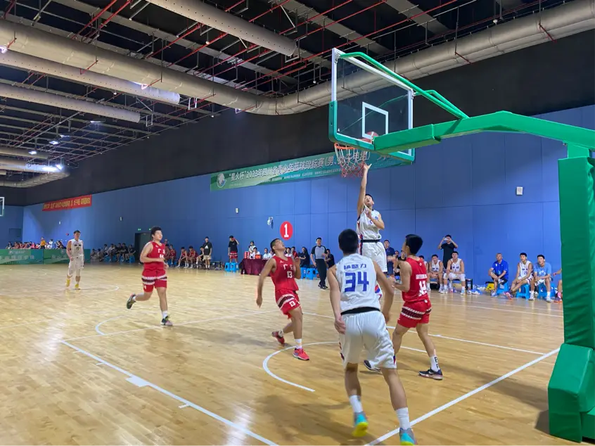南阳篮球学校_南阳市中学生篮球比赛_南阳市高中生篮球比赛冠军