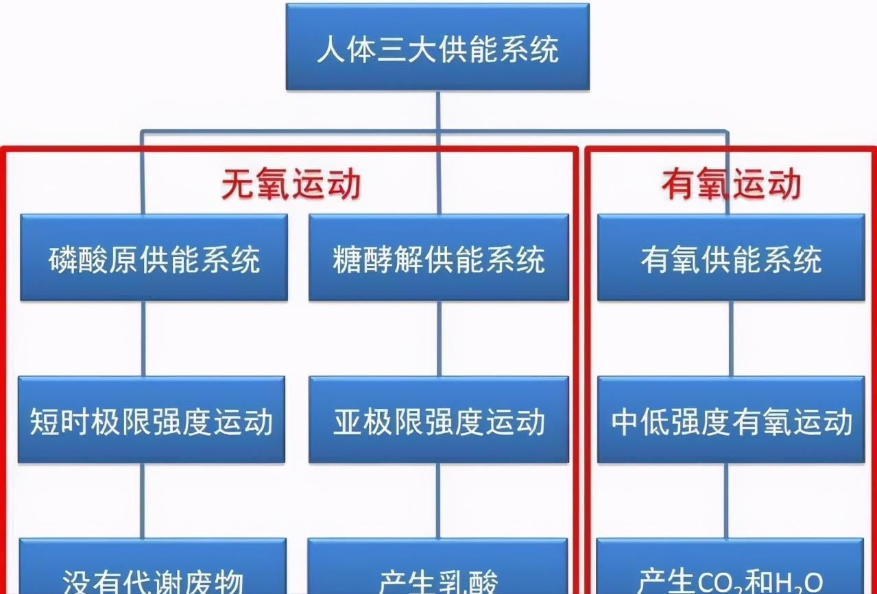 有氧运动皮肤_做有氧运动皮肤痒_有氧运动皮肤松弛怎么办