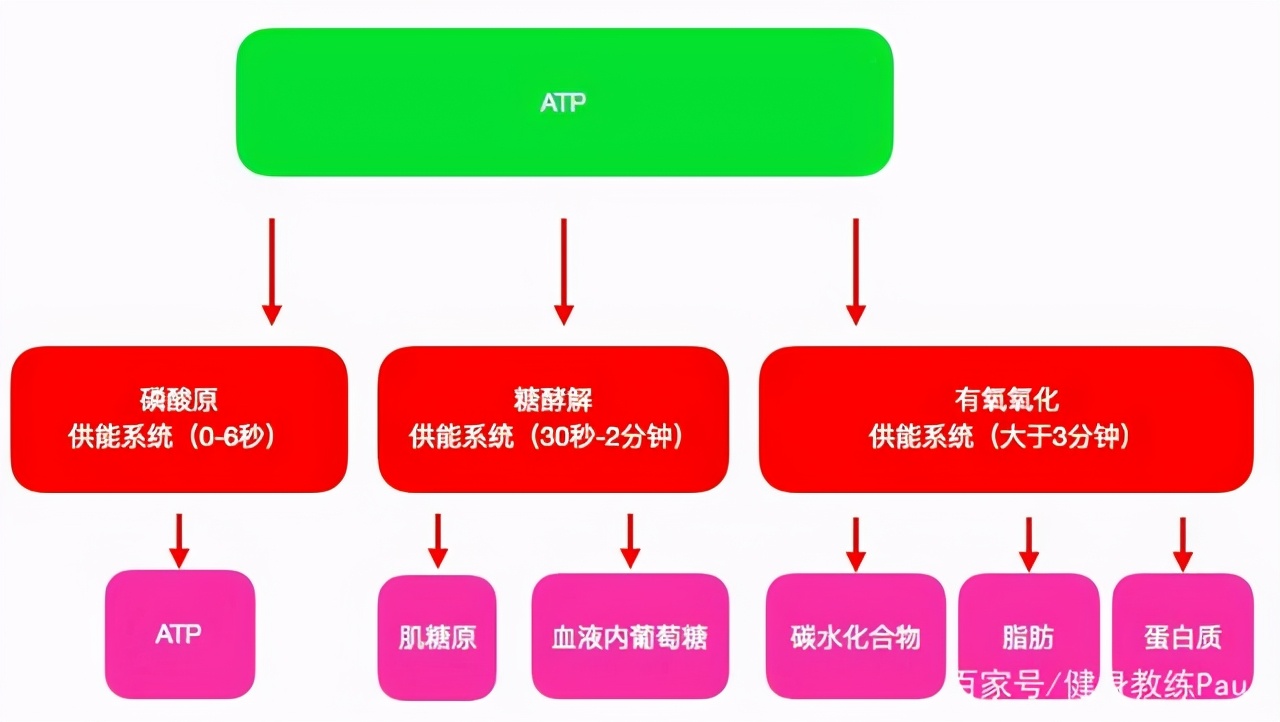 做有氧运动皮肤痒_有氧运动皮肤_有氧运动皮肤松弛怎么办