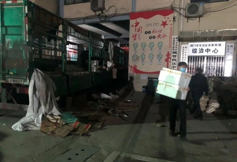 世界的游泳冠军叫什么名字_世界游泳冠军游速_世界级游泳冠军