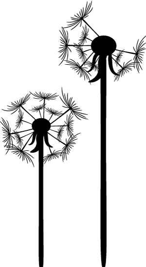 足球技巧与步法_足球步法训练方法_足球技巧步法有哪些